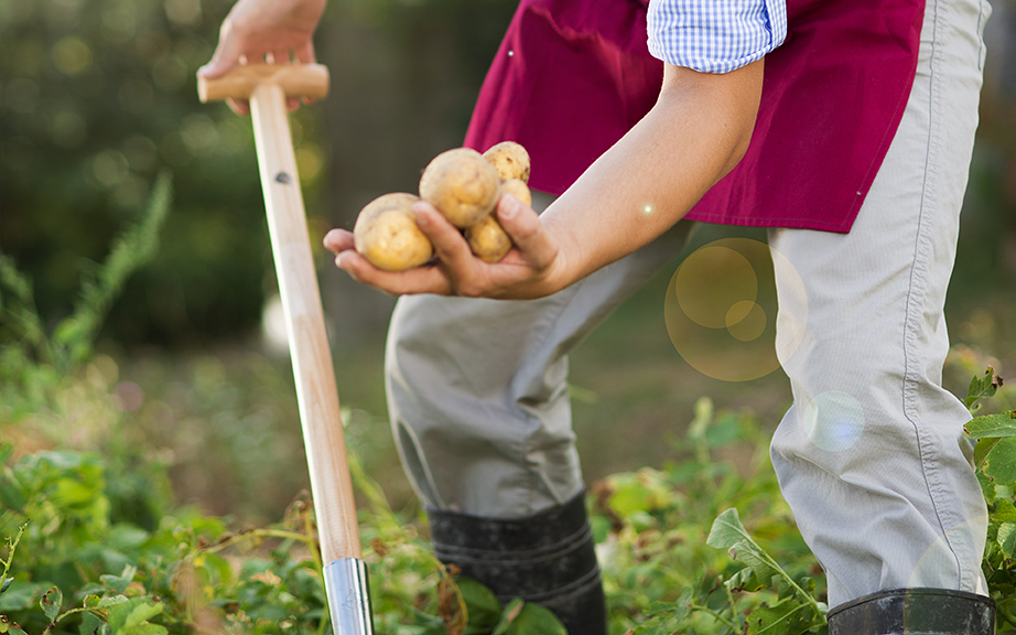 agricultor