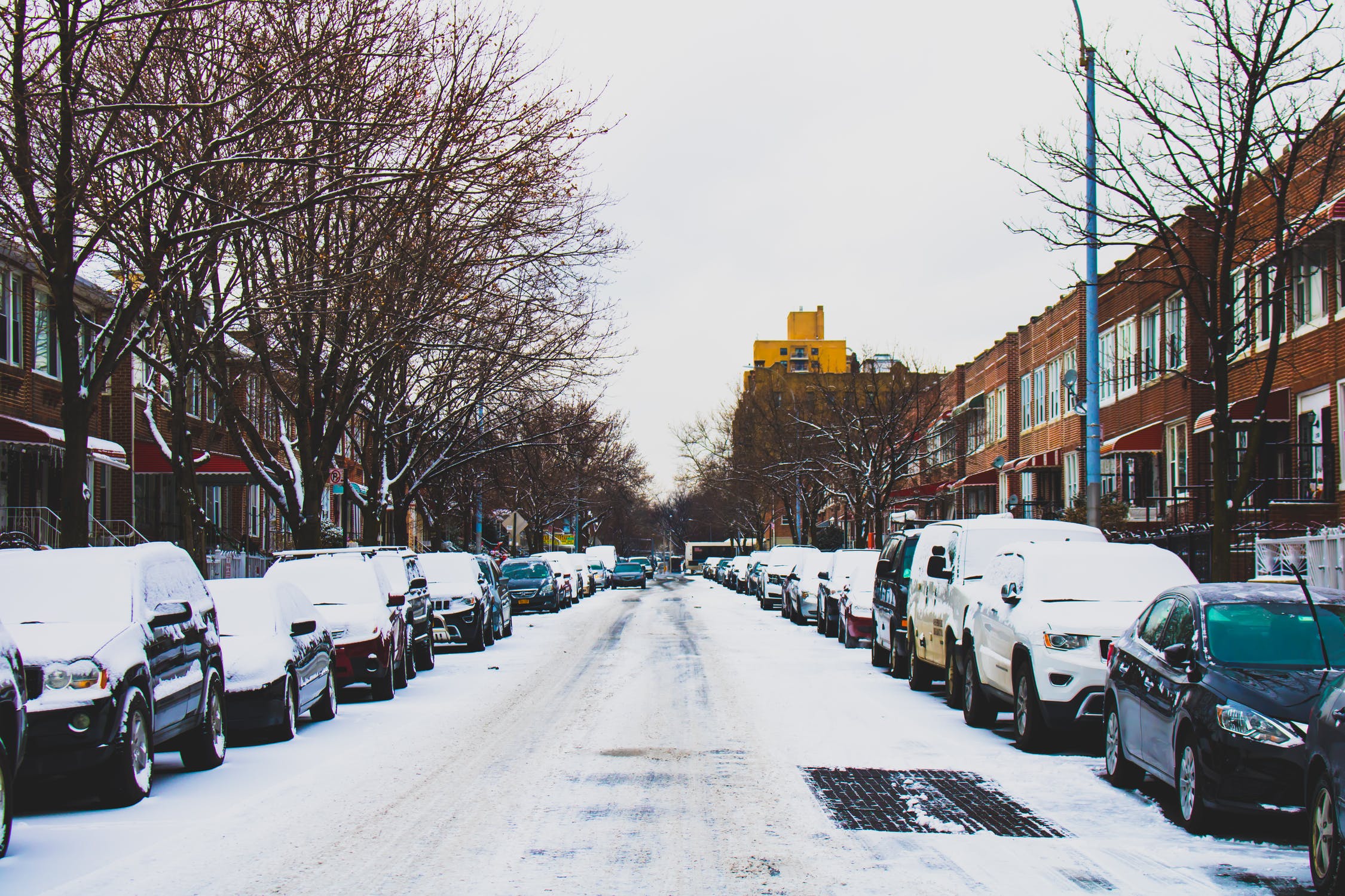 nieve