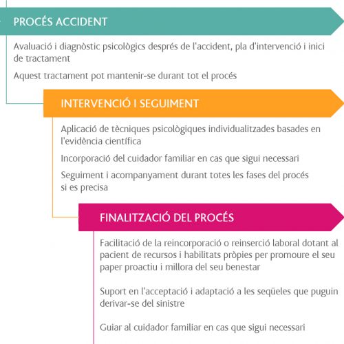 Infografia-PSICOLOGIA-catala infografia catala